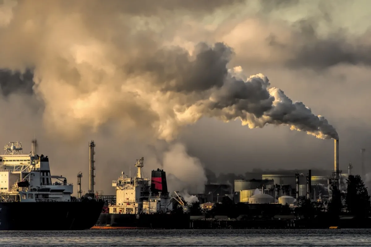 Cerveau humain et impact environnemental sur le TDAH