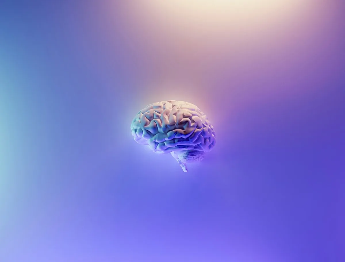 Illustration des connexions neuronales liées au TDAH