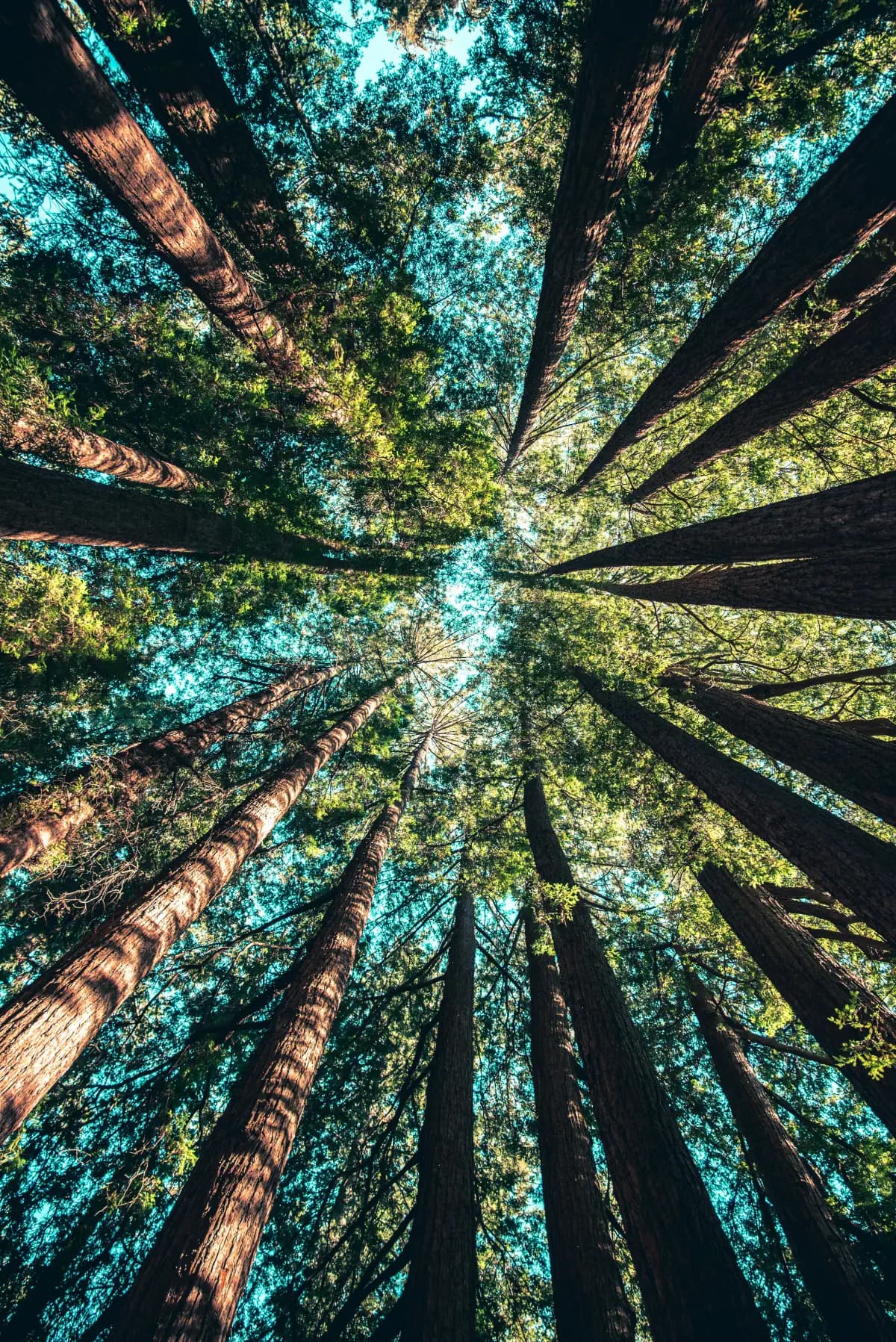 Paysage normand, calme et lumière naturelle